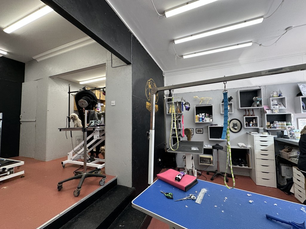 Lot: 79 - MIXED FREEHOLD RESIDENTIAL AND COMMERCIAL INVESTMENT - Internal of 55 Kings Road Commercial - Ground Floor